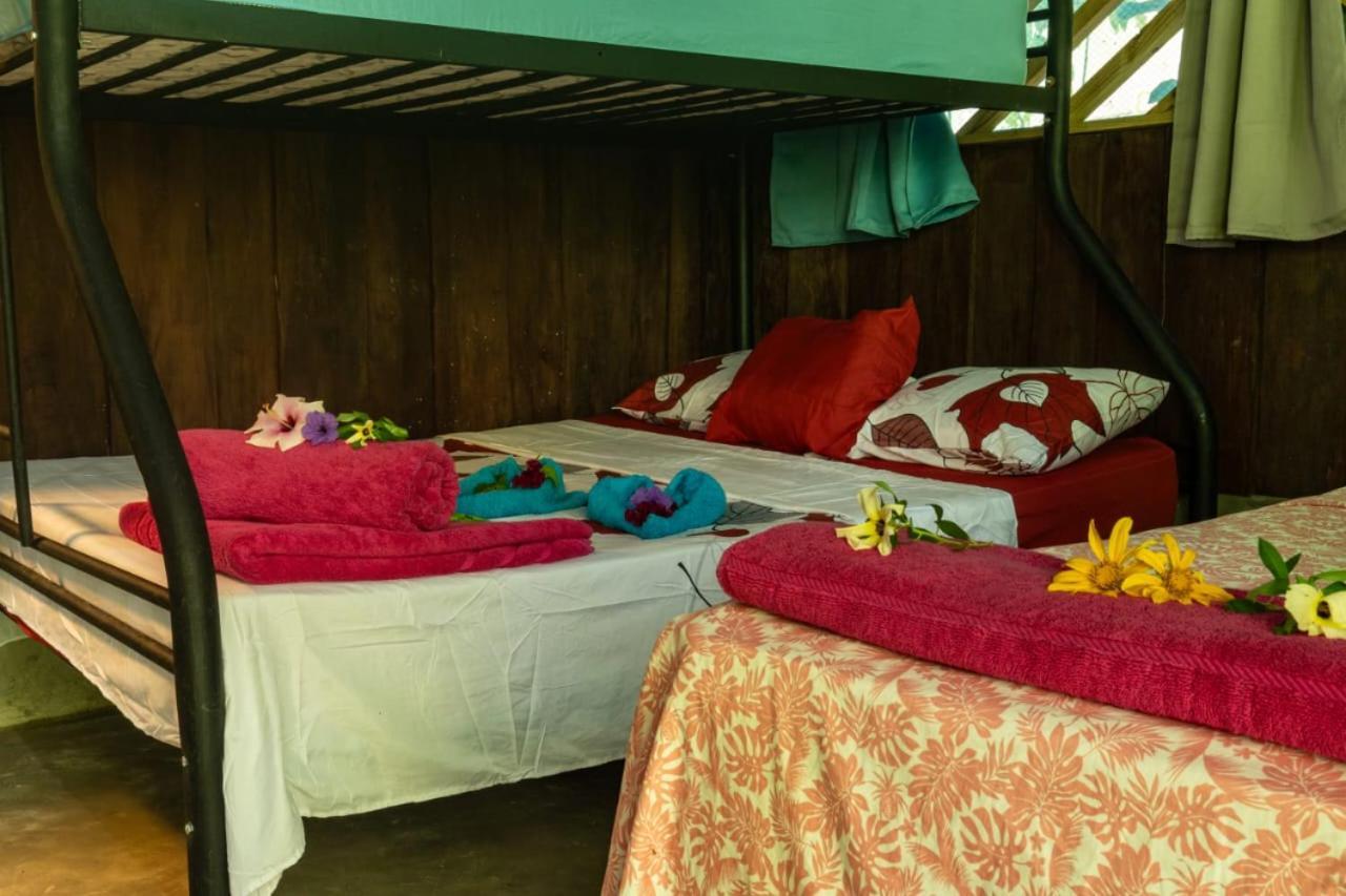 Los Paniquines Ecolodge Drakes Bay المظهر الخارجي الصورة