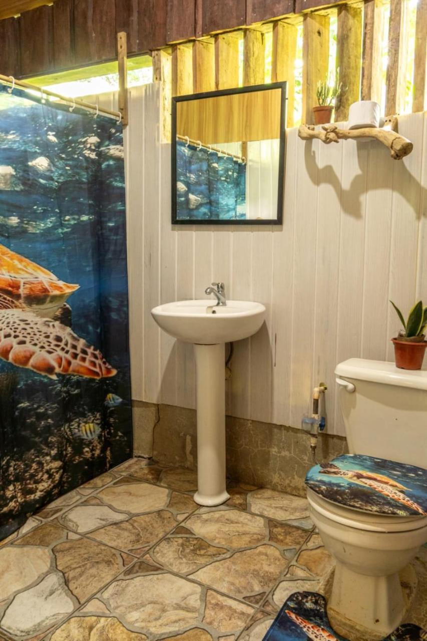Los Paniquines Ecolodge Drakes Bay المظهر الخارجي الصورة