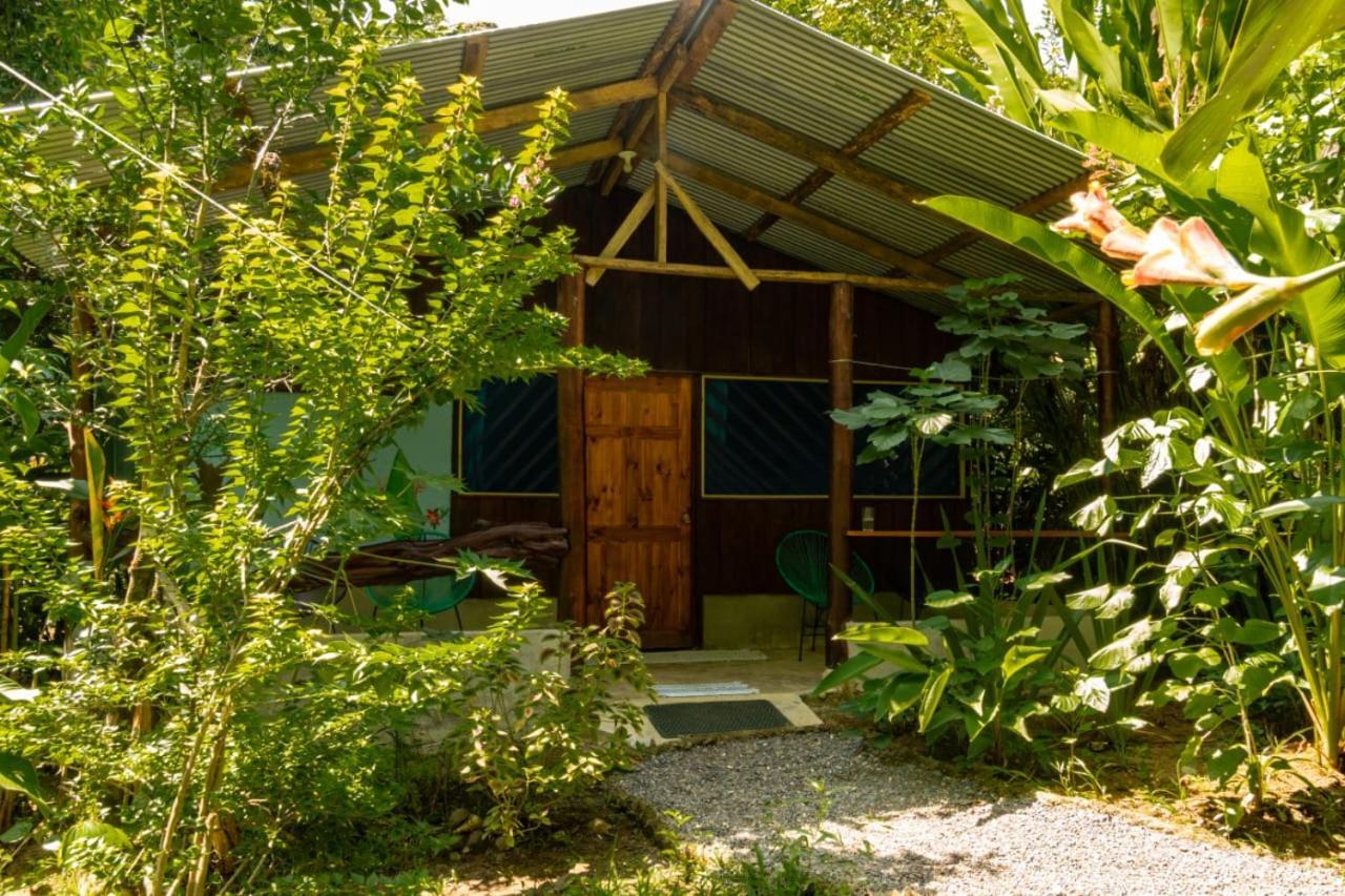 Los Paniquines Ecolodge Drakes Bay المظهر الخارجي الصورة